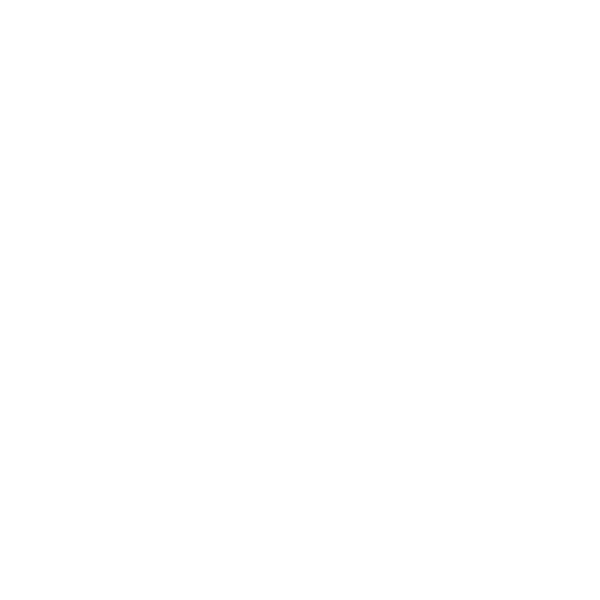 tylus logo
